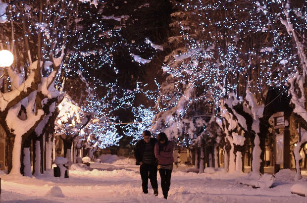 Neve (2013) - photo 1