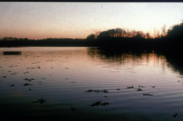 Cabin Fever (2002) - photo 6