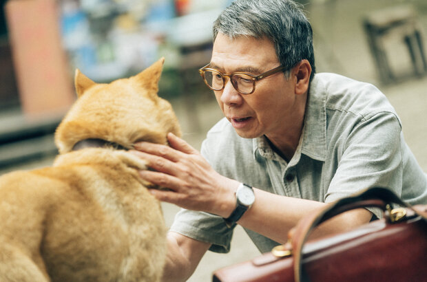 Hachiko (2023) - photo 6