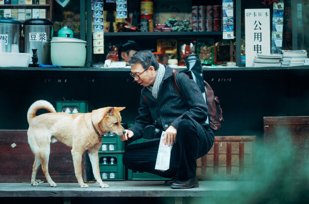 Hachiko (2023) - photo 3