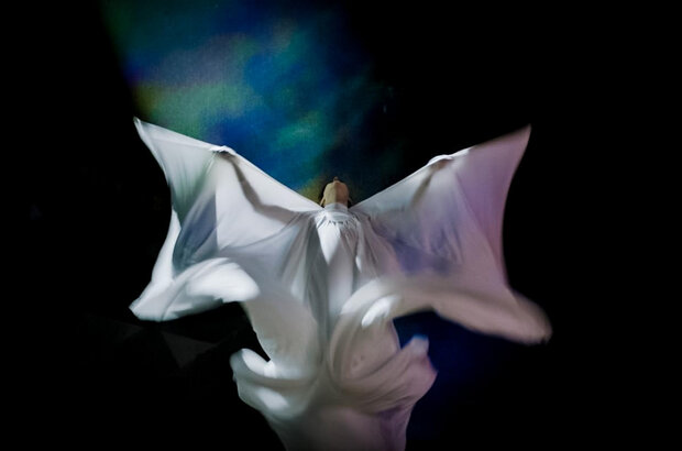 The Extraordinary Miss Flower (2024) - photo 2