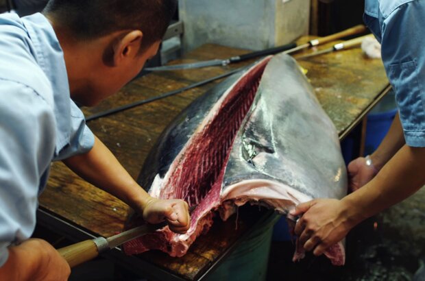Jiro Dreams of Sushi (2011) - photo 5