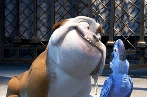 Рио 2 (2014) - фото 9