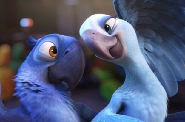 Рио 2 (2014) - фото 8