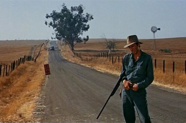Cool Hand Luke (1967) - photo 5