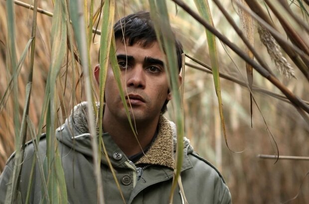Milk (2008) - photo 1