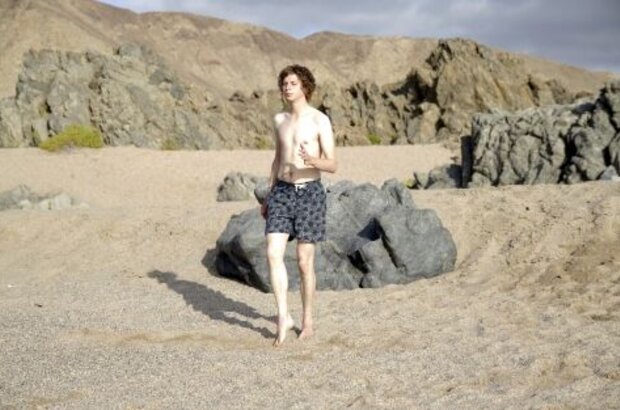 Crystal Fairy (2013) - photo 3