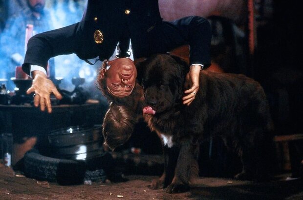 Police Academy 2: Their First Assignment (1985) - photo 5
