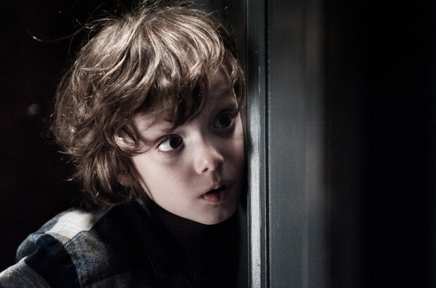 The Babadook (2014) - photo 8