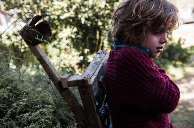 The Babadook (2014) - photo 3