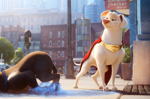 DC League of Super-Pets (2022) - photo 3