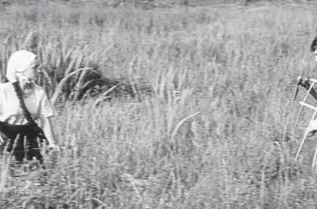 Bread and Salt (1970) - photo 11