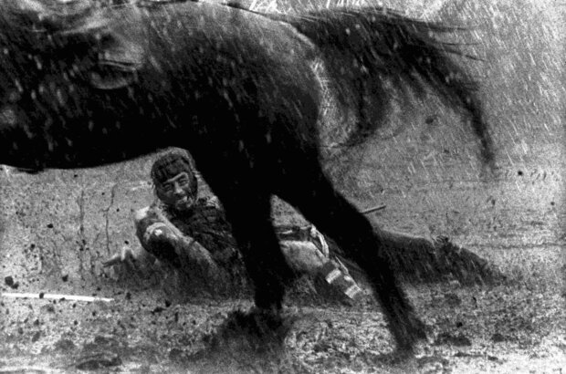 Seven Samurai (1954) - photo 6