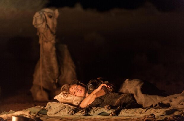Tracks (2013) - photo 16