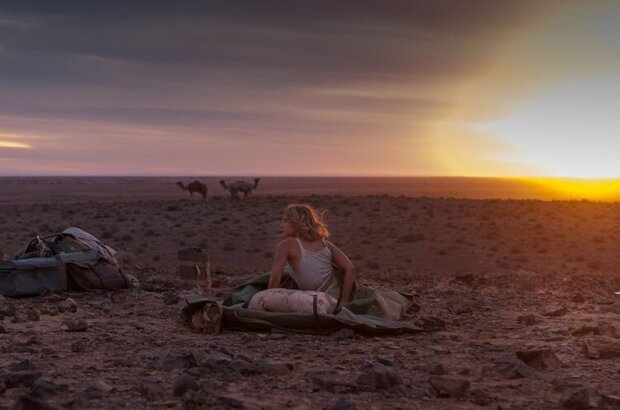 Tracks (2013) - photo 8