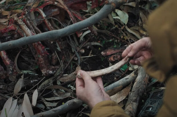 Carnifex (2022) - photo 7