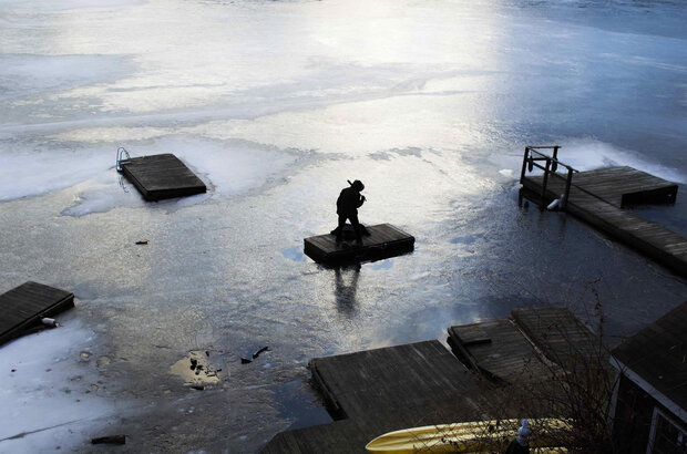 The Ant Farm (2022) - photo 2