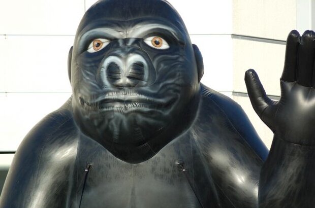 Spooner (2009) - photo 6
