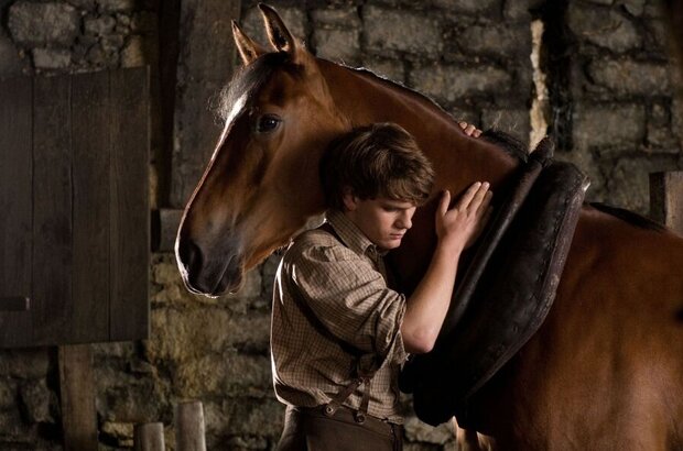 War Horse (2011) - photo 6