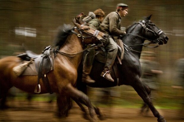 War Horse (2011) - photo 8