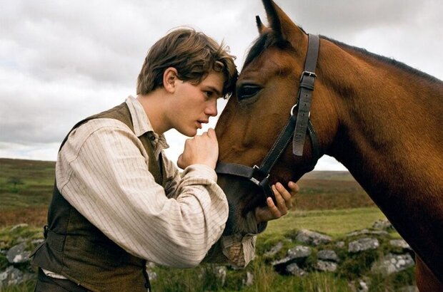 War Horse (2011) - photo 1