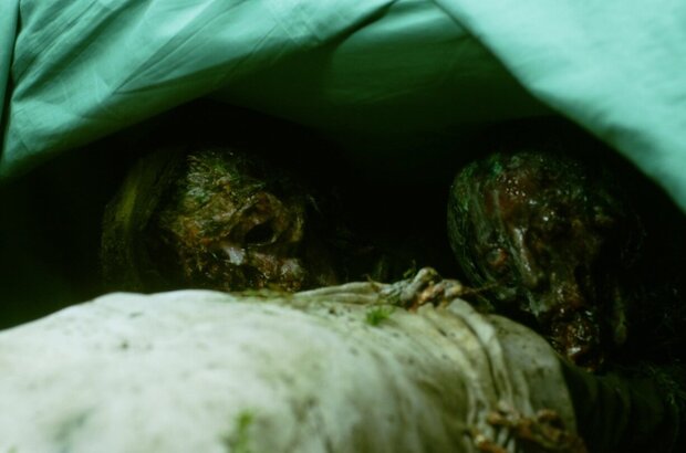 Howling Village (2019) - photo 7