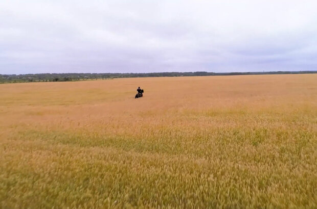 Hua Mulan (2020) - photo 2