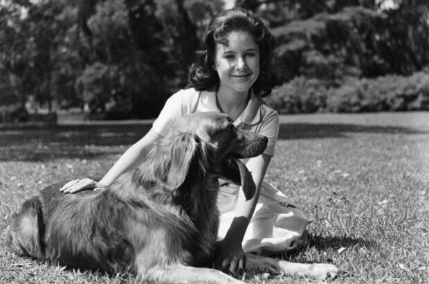 Cape Fear (1962) - photo 3