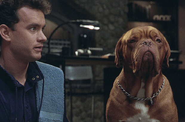 Turner & Hooch (1989) - photo 1