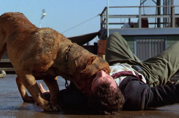 Turner & Hooch (1989) - photo 6