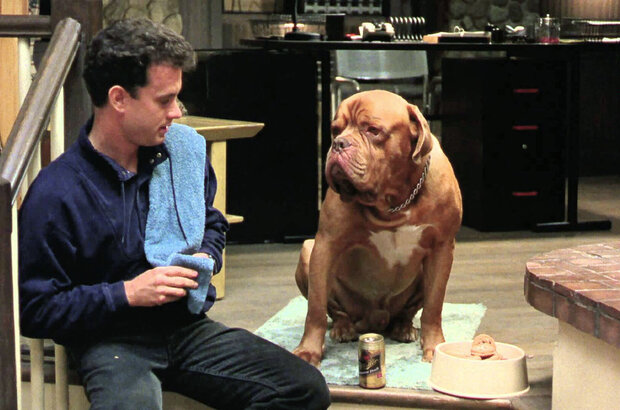 Turner & Hooch (1989) - photo 4