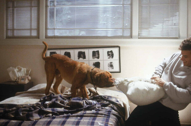 Turner & Hooch (1989) - photo 2