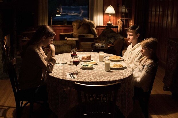 The Lodge (2019) - photo 2