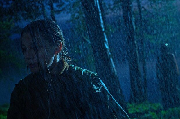 Feed (2022) - photo 1