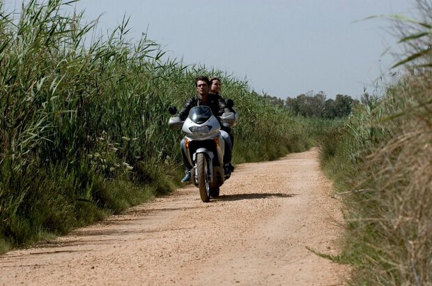 Fasten Your Seatbelts (2014) - photo 6