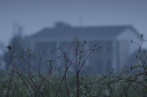Girl Next (2021) - photo 2