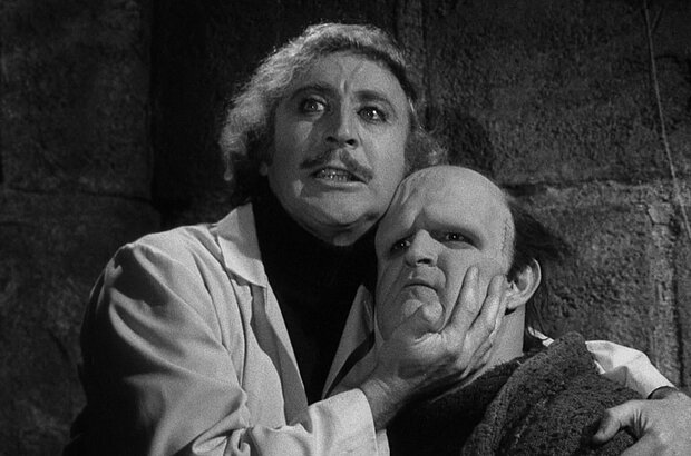 Young Frankenstein (1974) - photo 2
