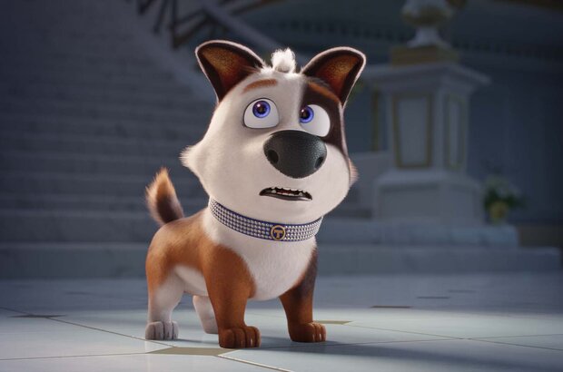 Trouble (2018) - photo 11