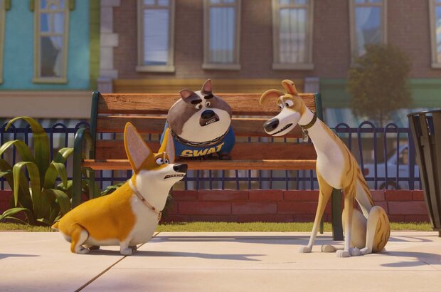 Trouble (2018) - photo 16