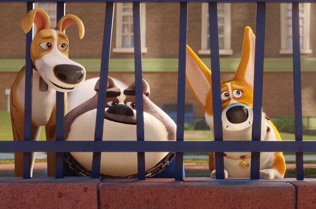 Trouble (2018) - photo 7