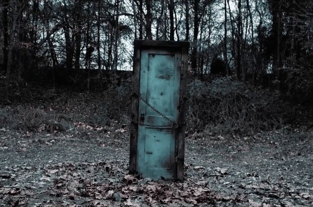 Door in the Woods (2019) - photo 4