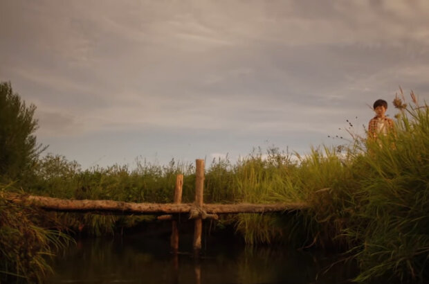 Sun Flower (2017) - photo 6