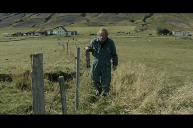 Rams (2015) - photo 1