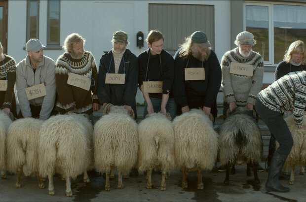 Rams (2015) - photo 6