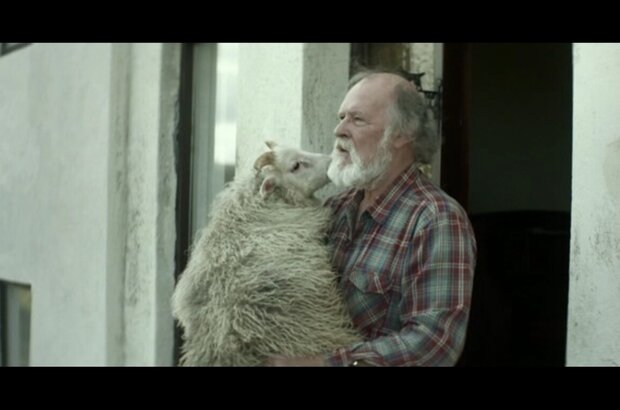 Rams (2015) - photo 3