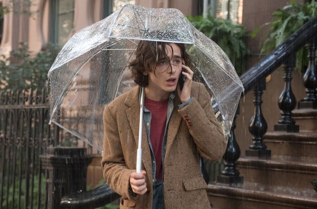 A Rainy Day in New York (2018) - photo 14