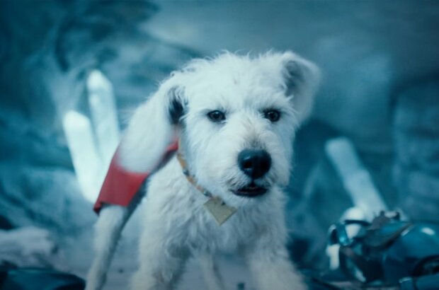 Superman: Legacy (2025) - photo 5