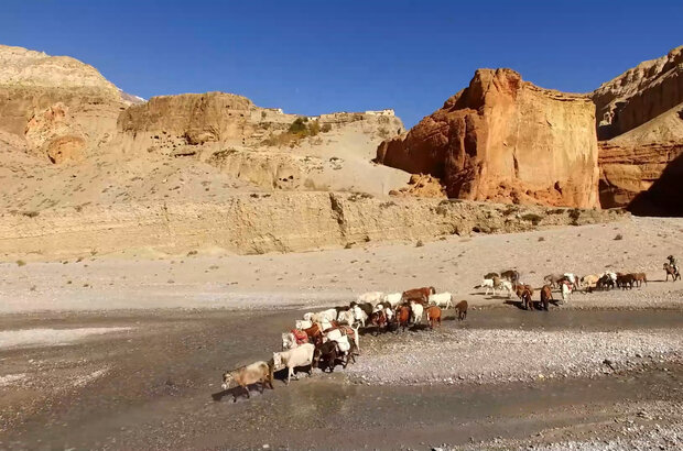 Mustang, the horses kingdom (2016) - photo 6