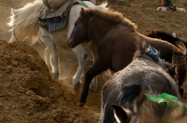Mustang, the horses kingdom (2016) - photo 3