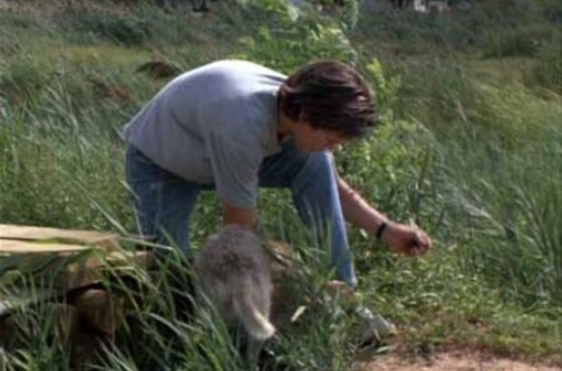 Running on Empty (1988) - photo 2